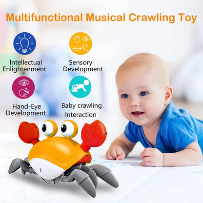 Crawling Crab Baby Musical Kids Toy with LED